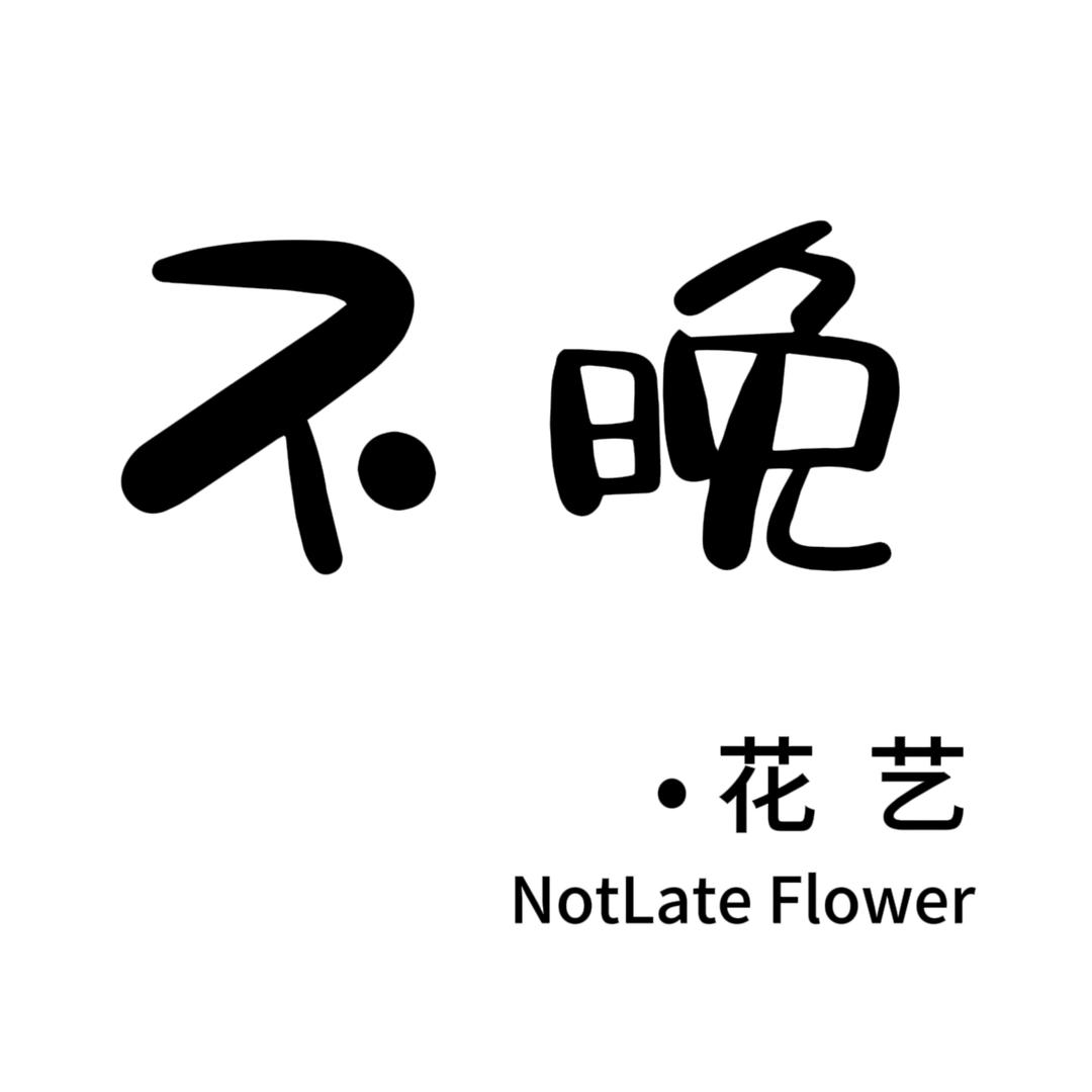 不晚花艺🌷 马庄店