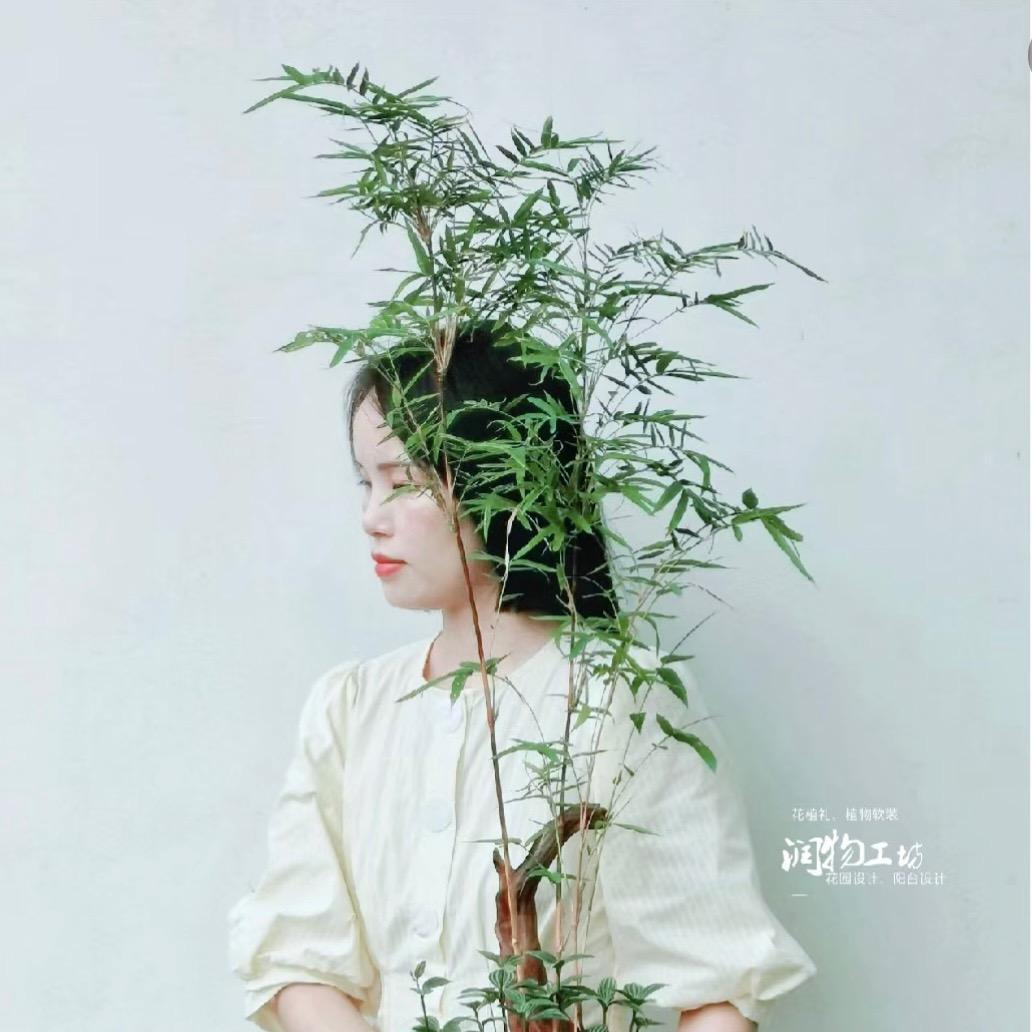 竹端森处