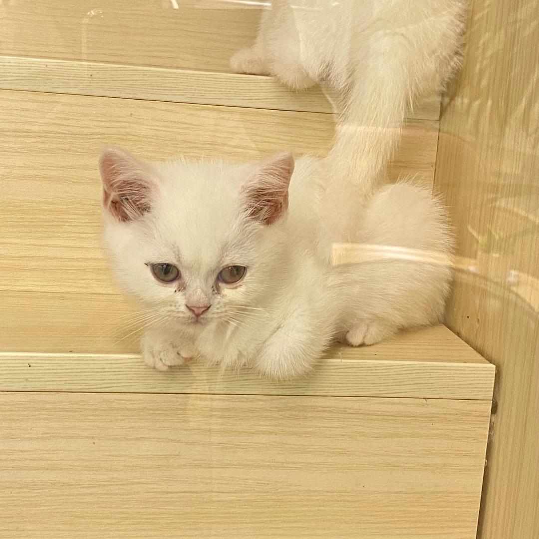 💗余身随心