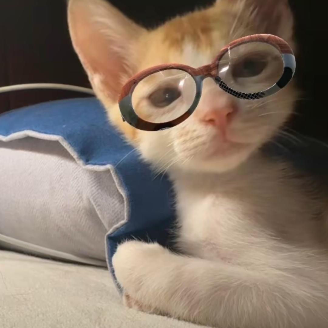 酸奶牌小猫