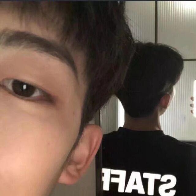 富贵竹🎋