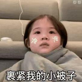 哈奇狗