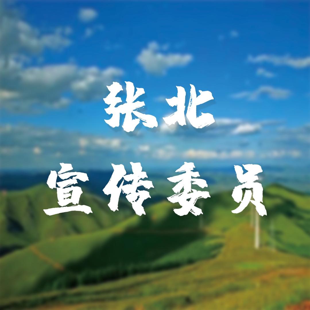 张北宣传委员
