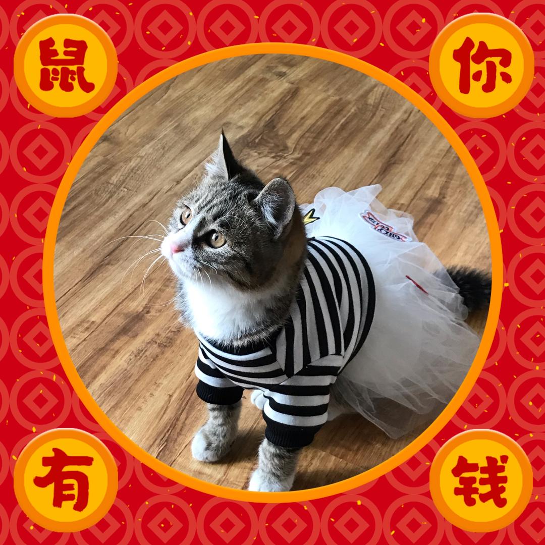 张张小阿姨