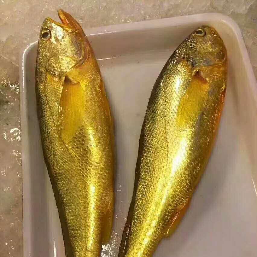 dingdongshen