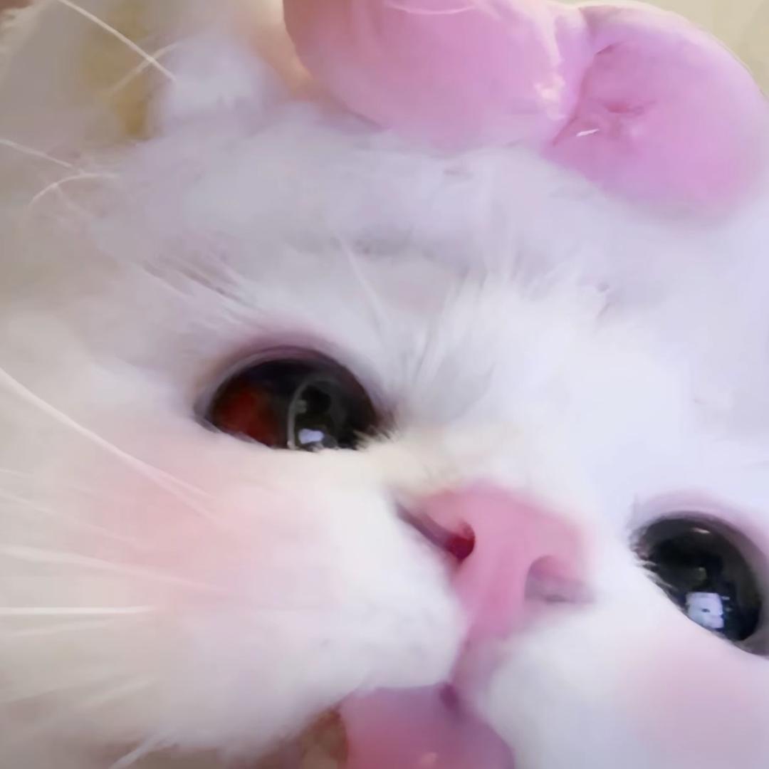酸辣鱼鱼