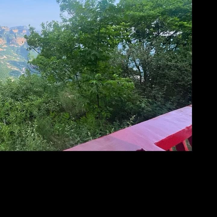 富贵险中求