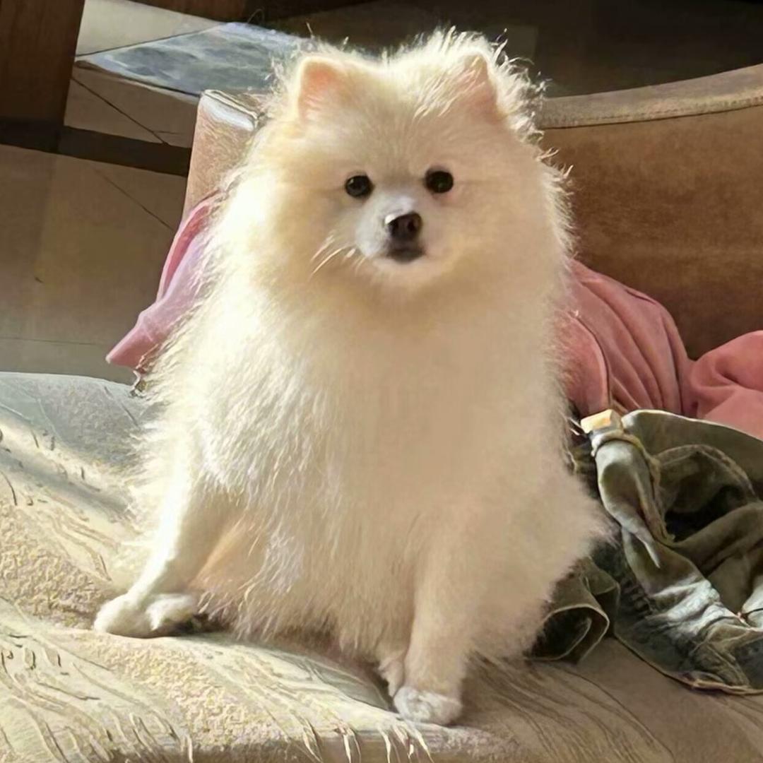小西瓜