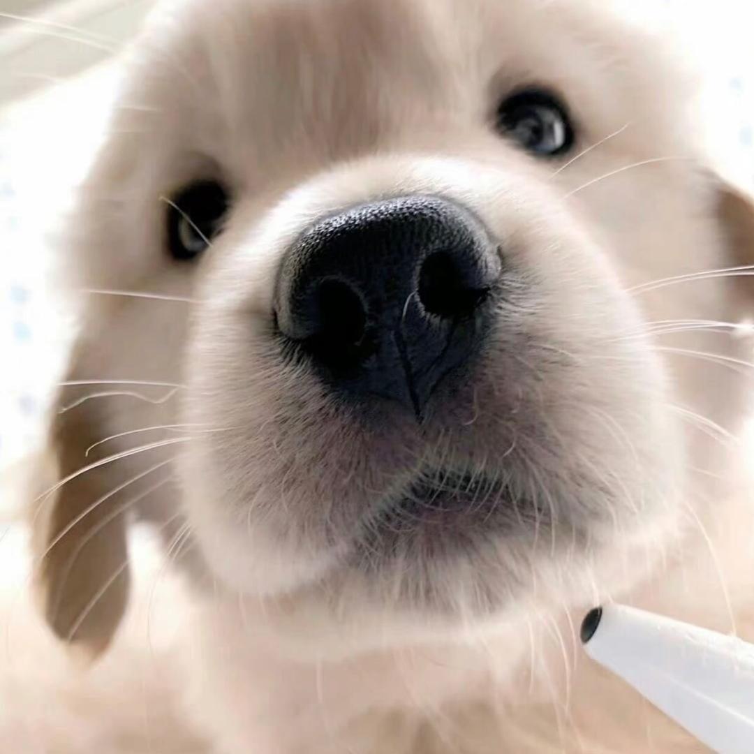 钟开心
