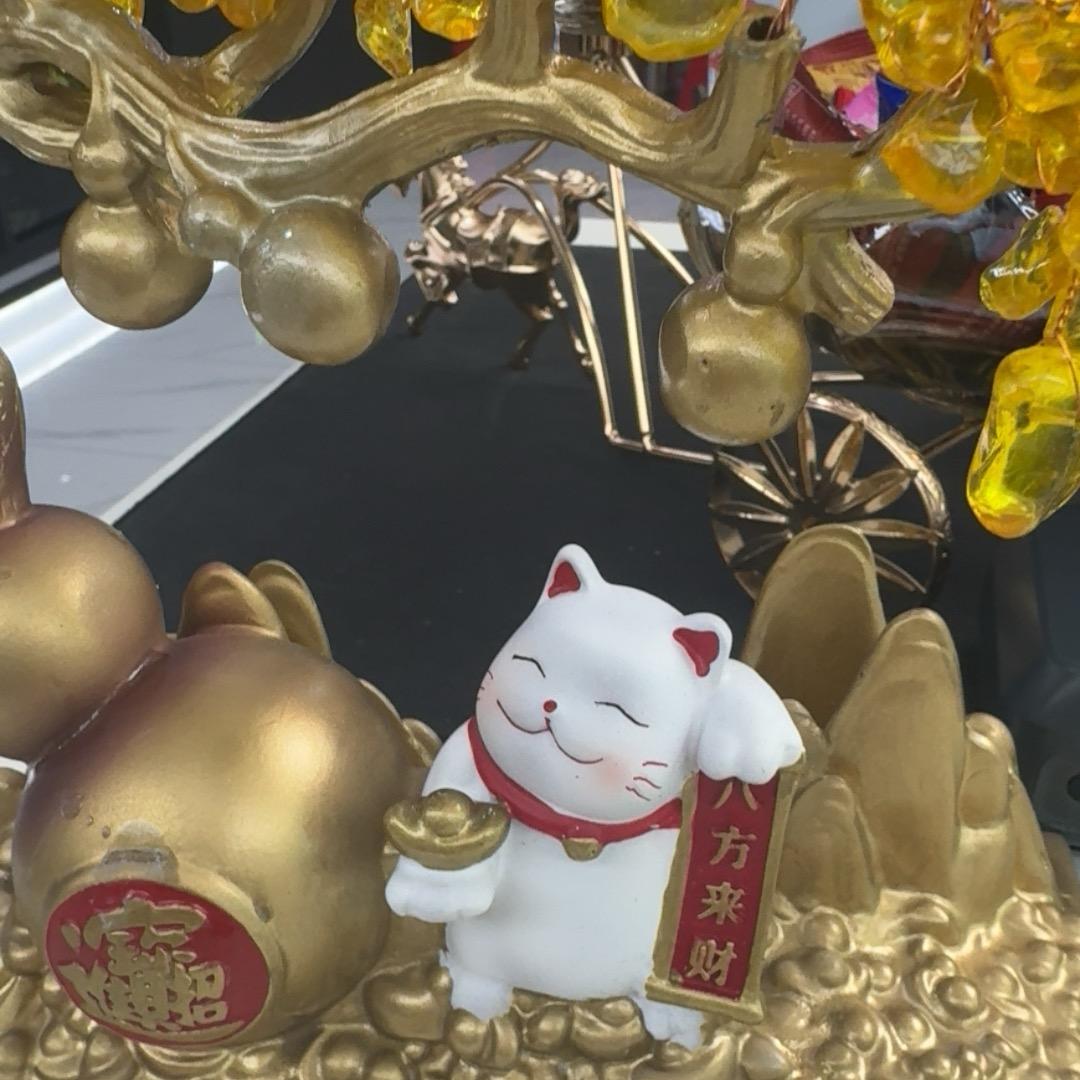 注安学习我们一起啊