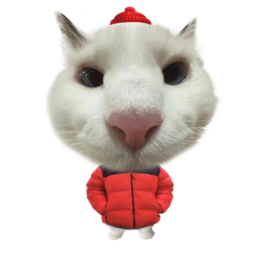 何拭