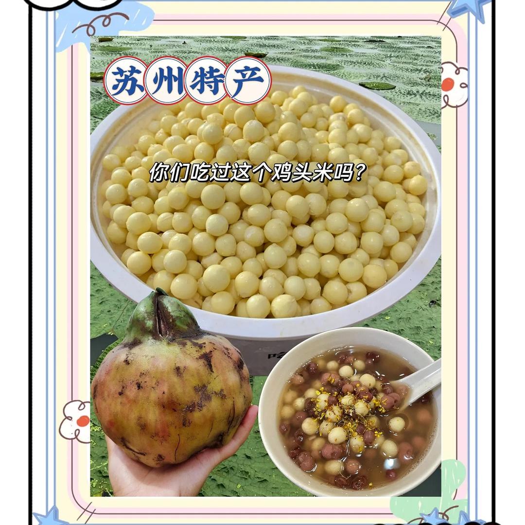 小懒户外工厂店