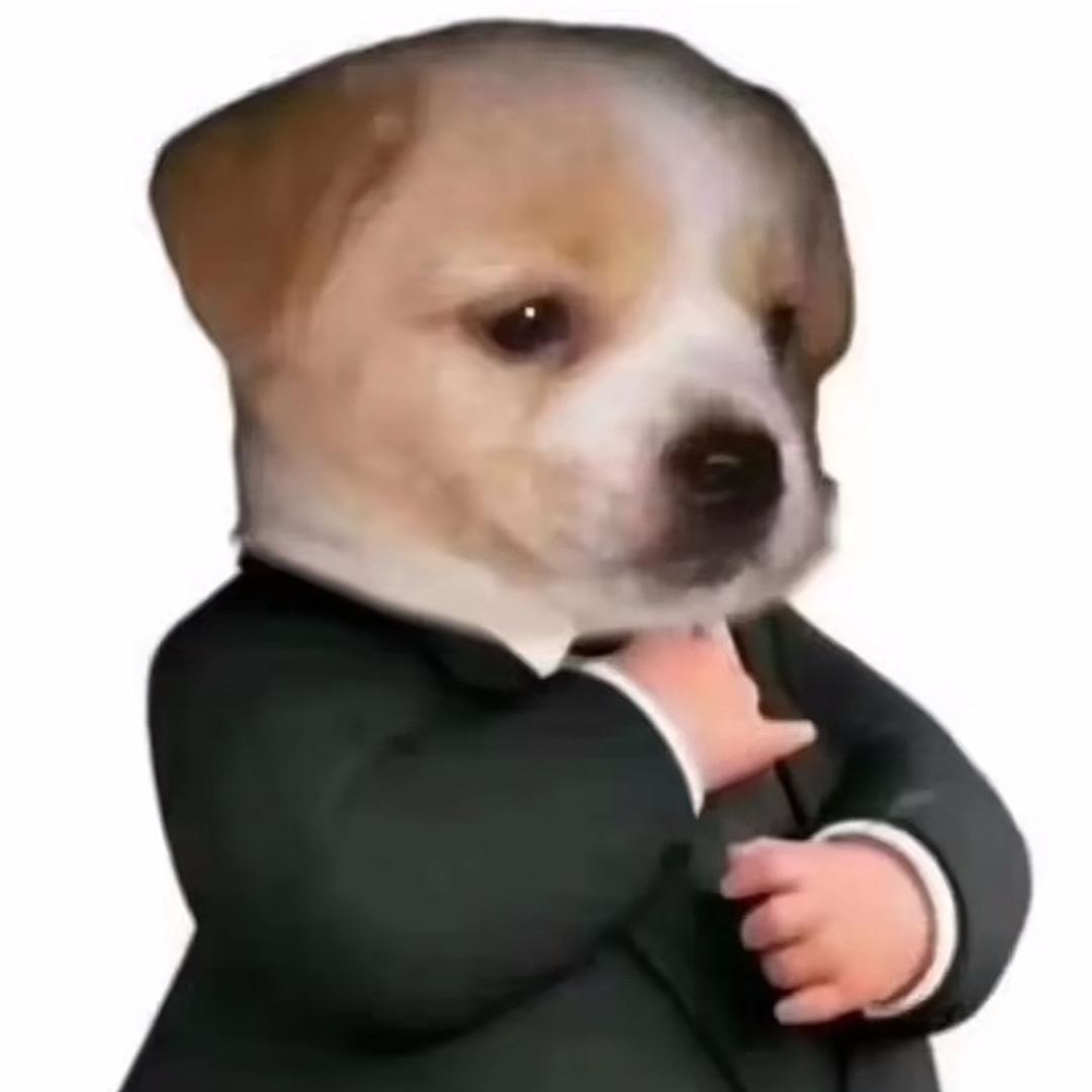 小狗律