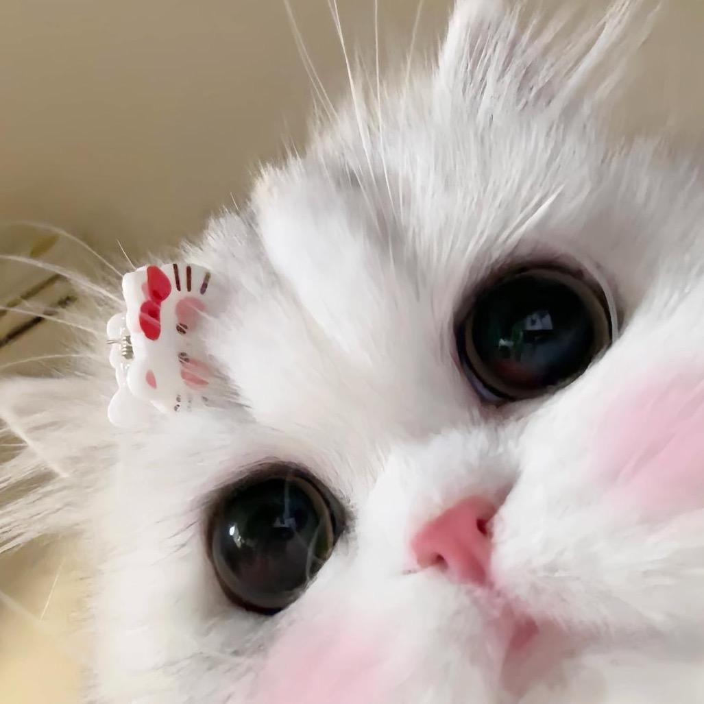 陈陈🎀