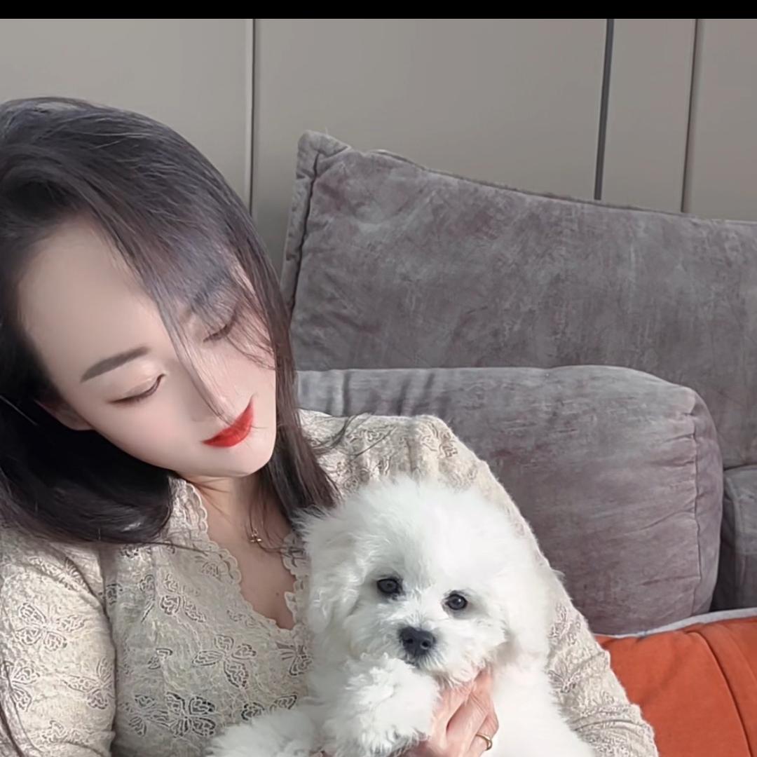 静静 .