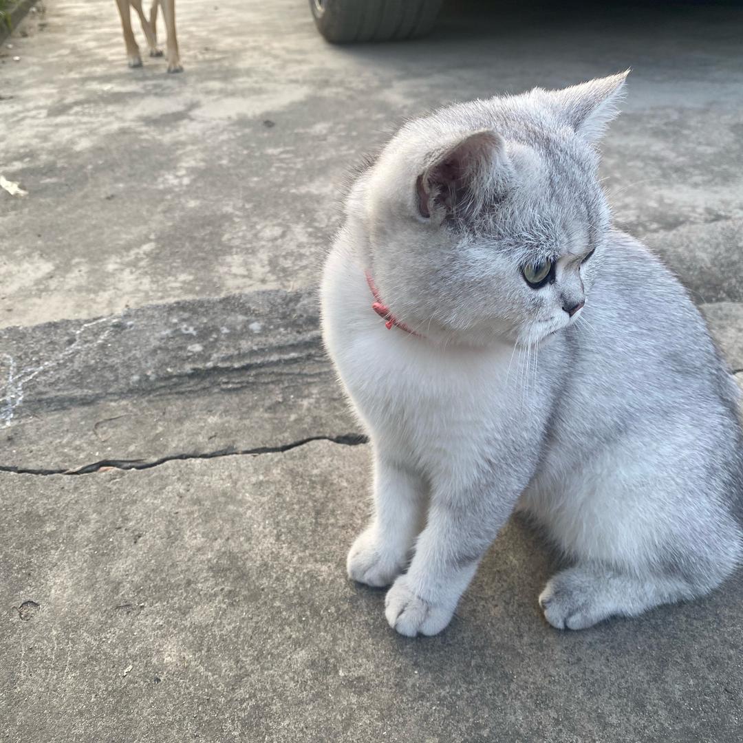 槿槿