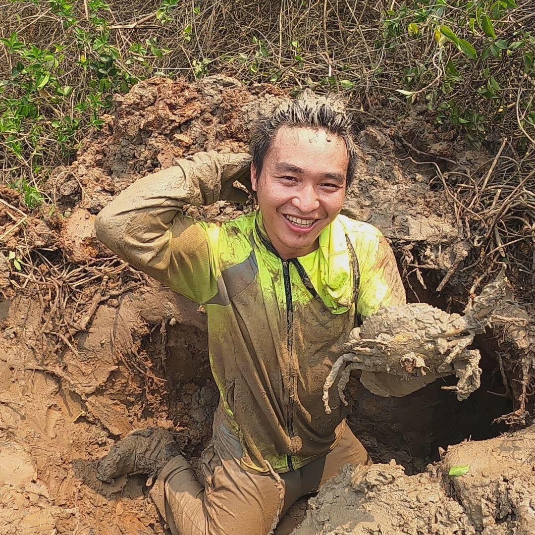 小黄人龙平