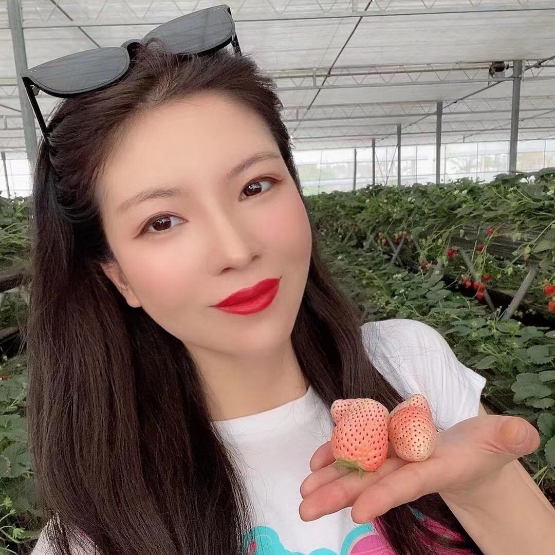 怪咖索菲亚