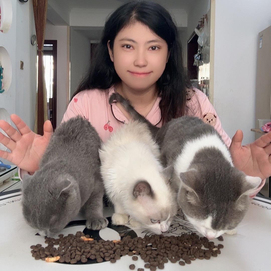 馋嘴猫老大