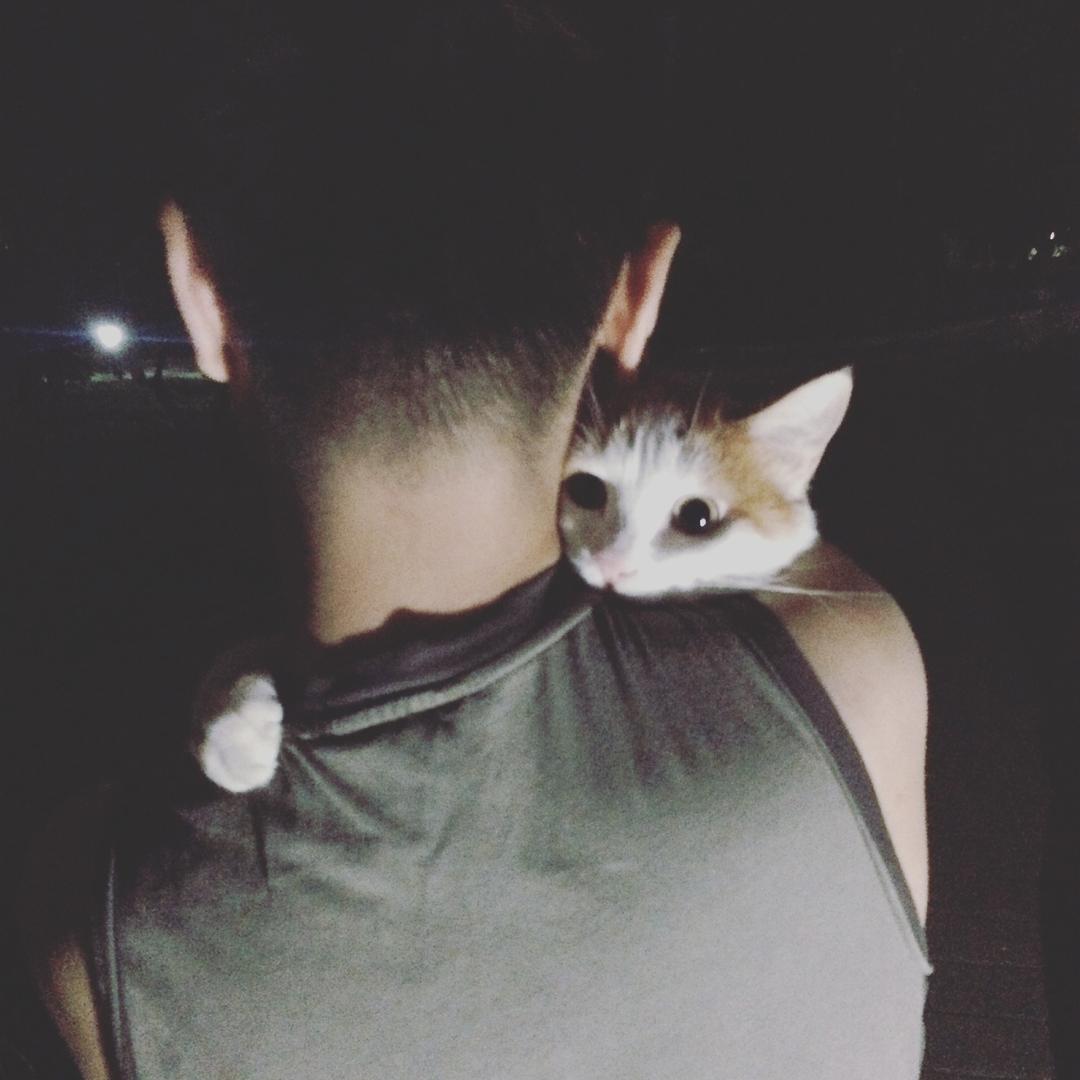 🐱筱皓🐱