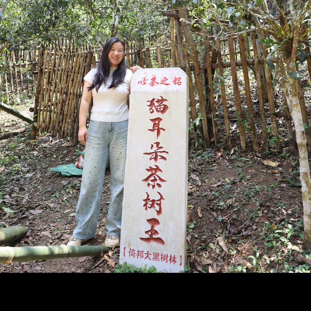 以茶之铭玉萍号