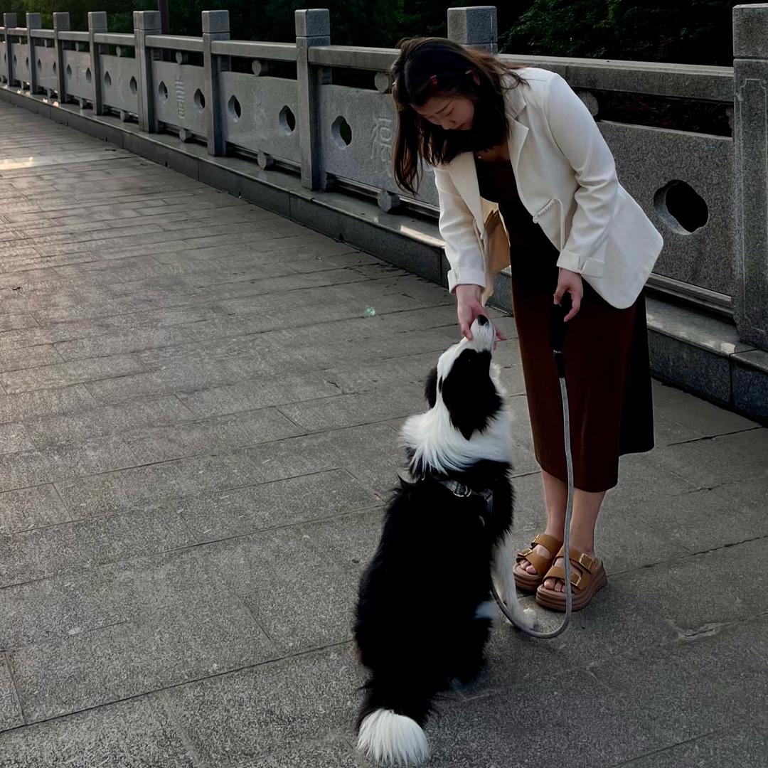 陈小橙
