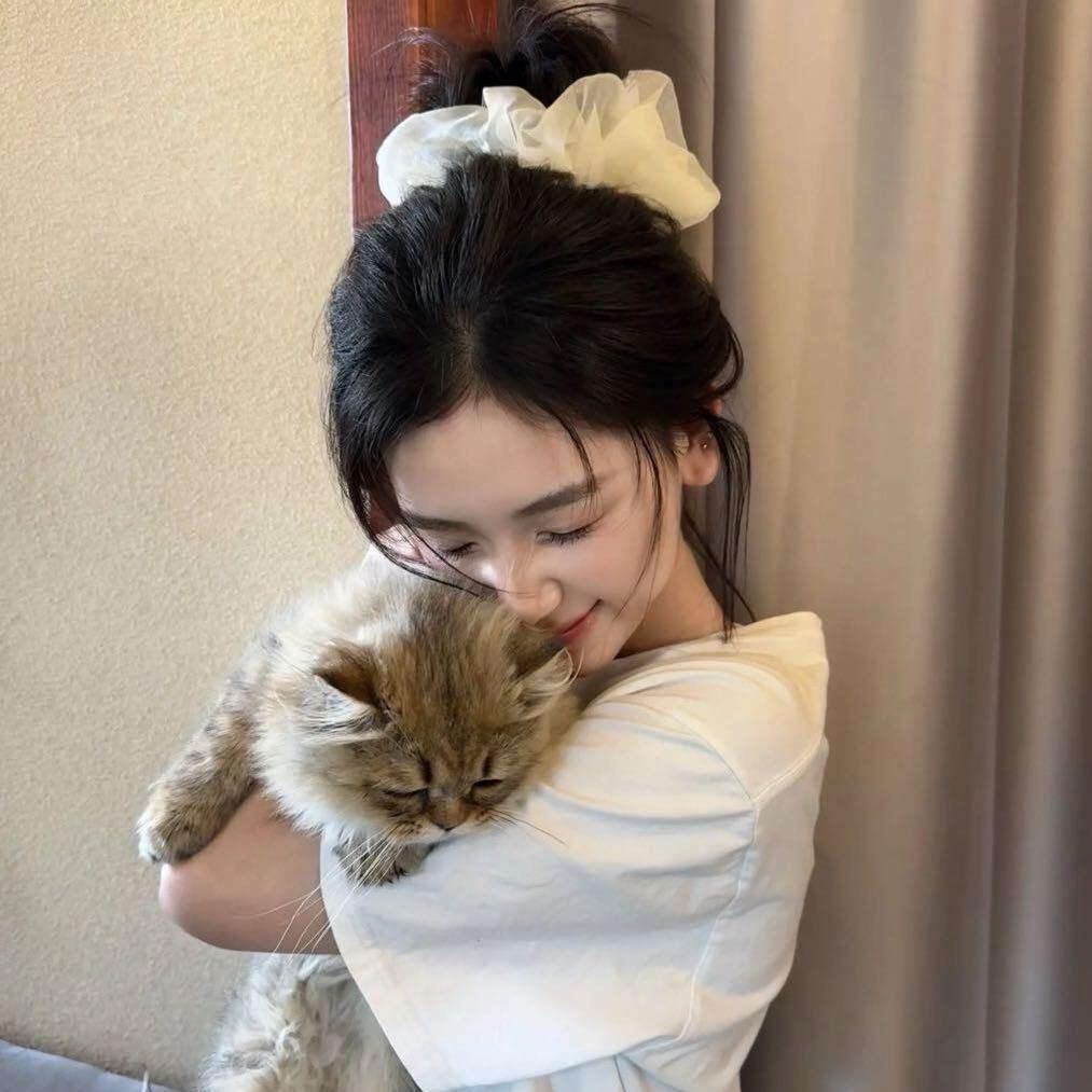 羊-