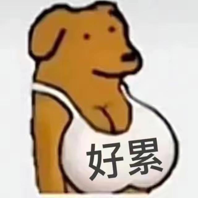 我叫小滚　  　　　　　　　　🪳