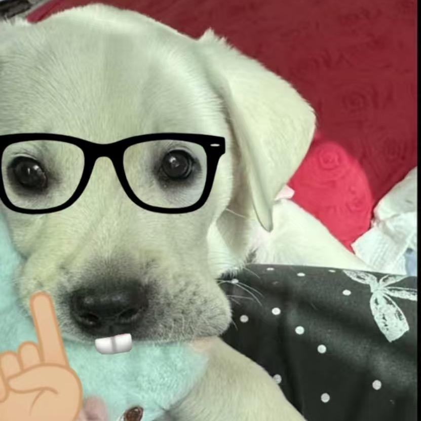 发财爱吃火龙果