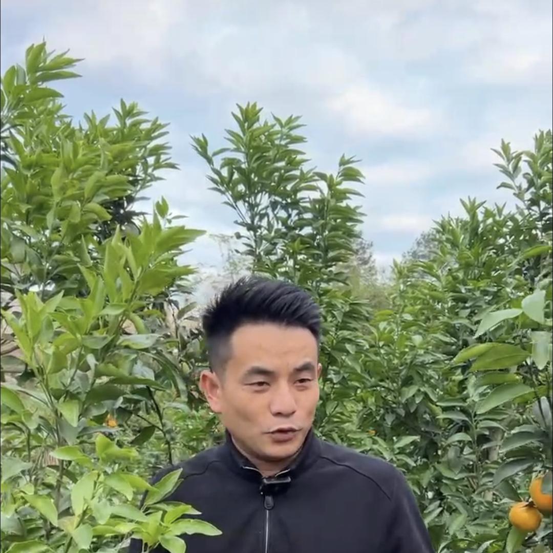 聚诚农资工厂店