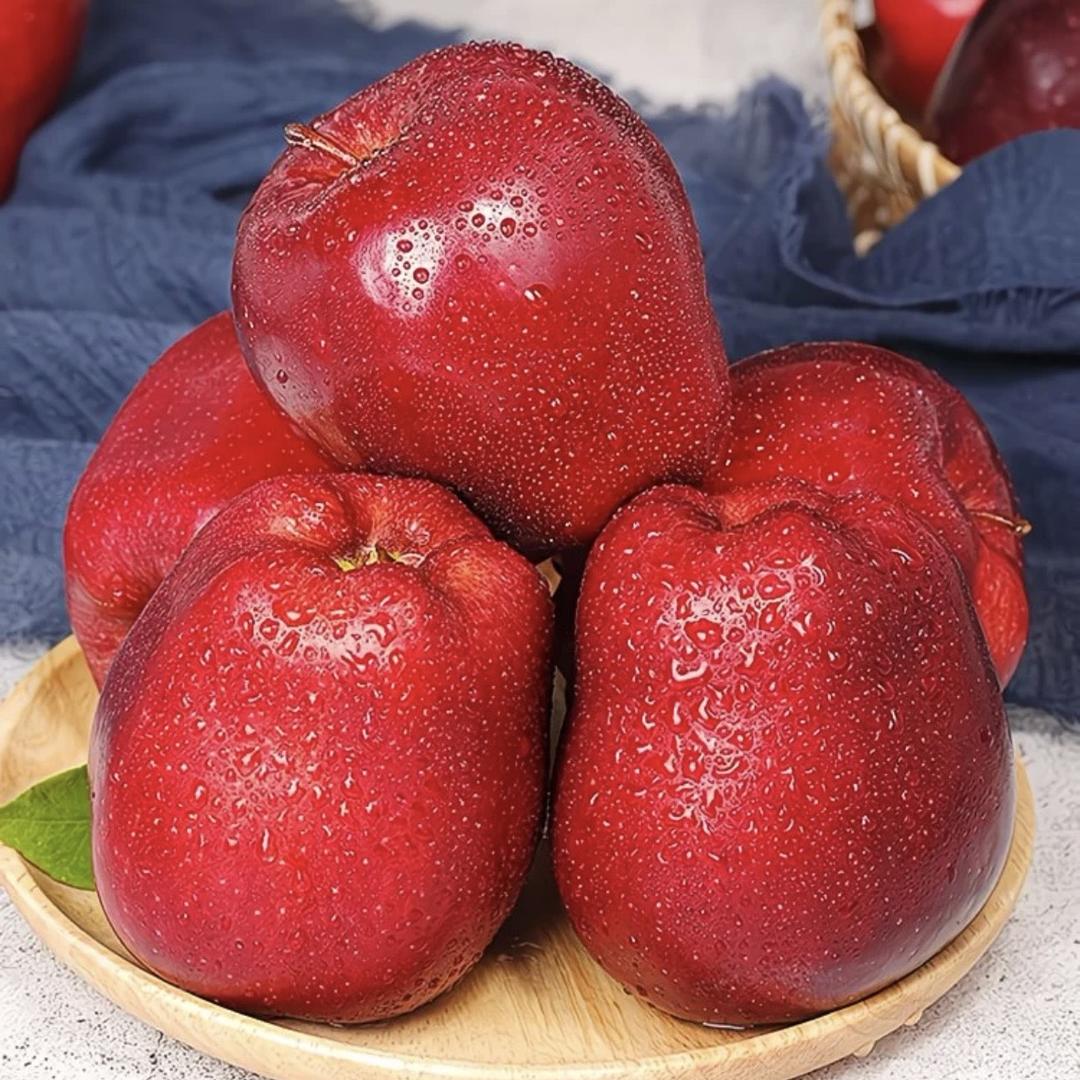 鲜岭果品（甘肃花牛，富士苹果直播）