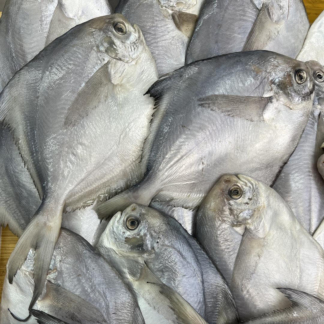 恒瑞海鲜