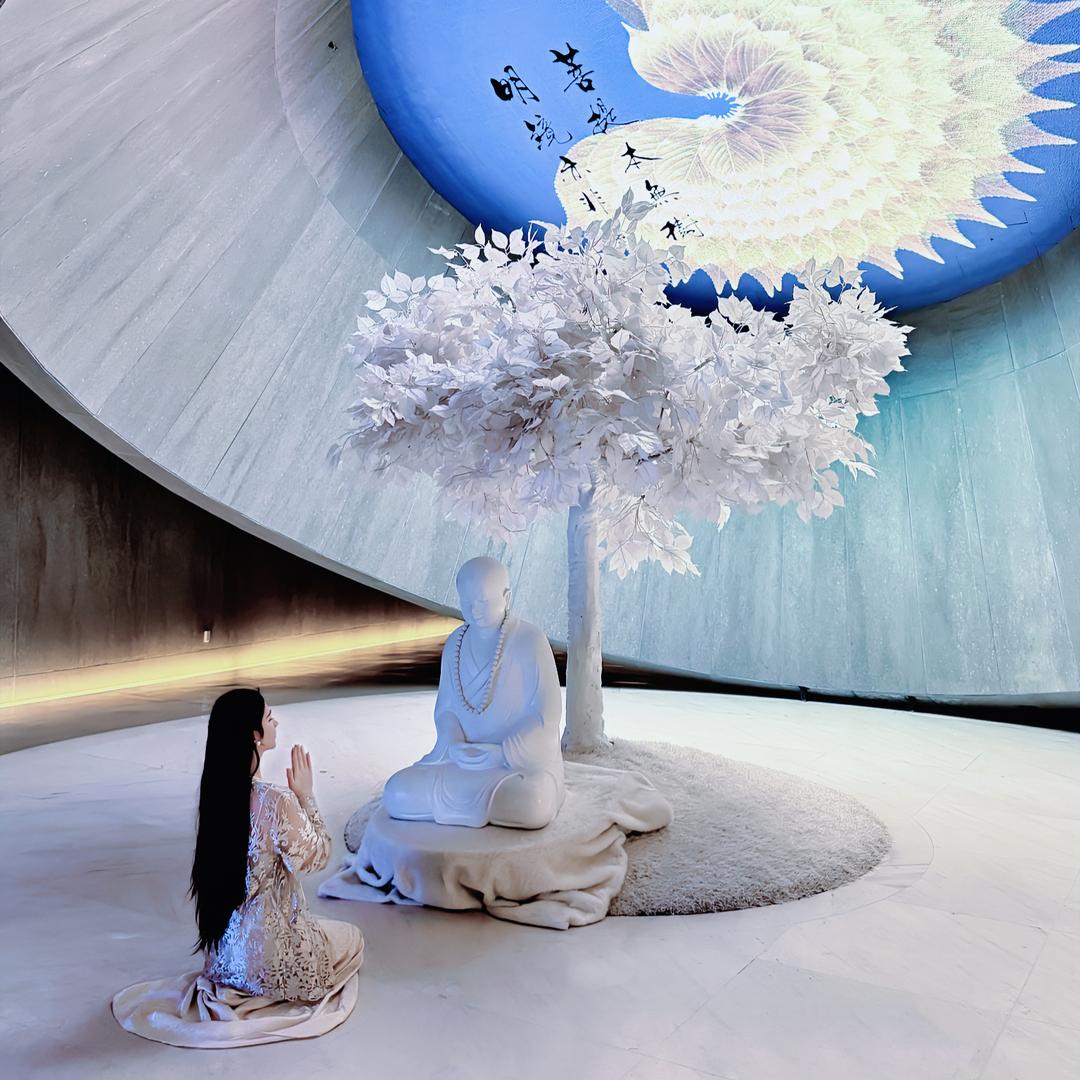 婉婉·拾茶