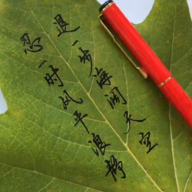 覃永东在这