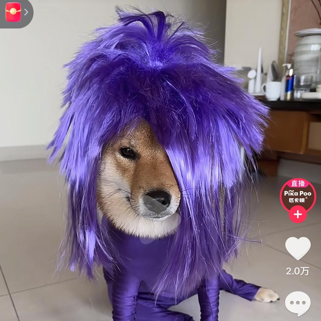 我没惹你吧