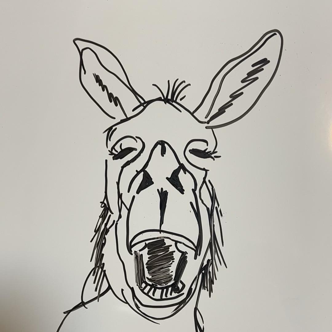 小毛驴