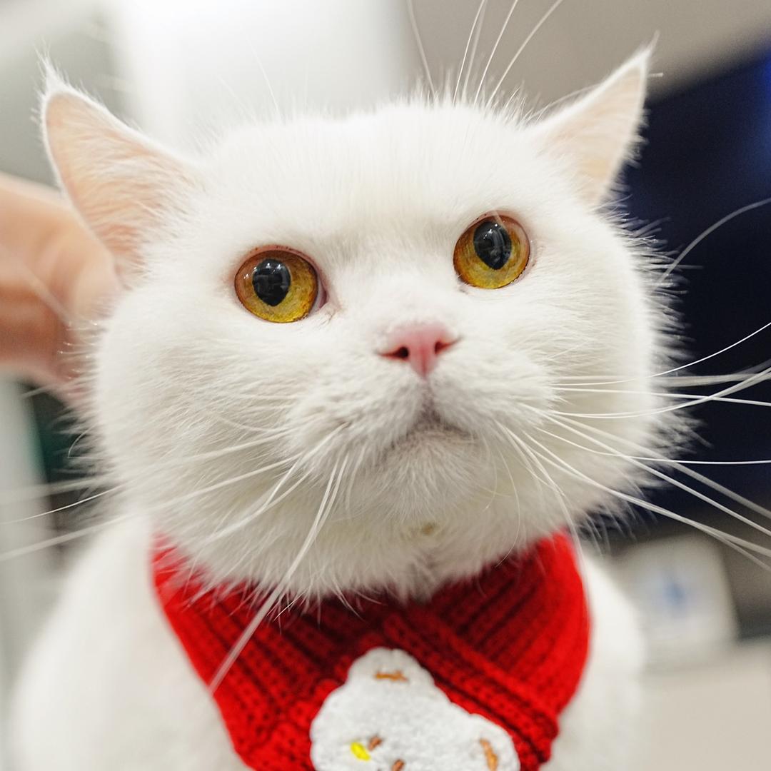 了不起的中年人