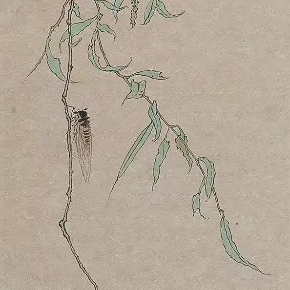 小许