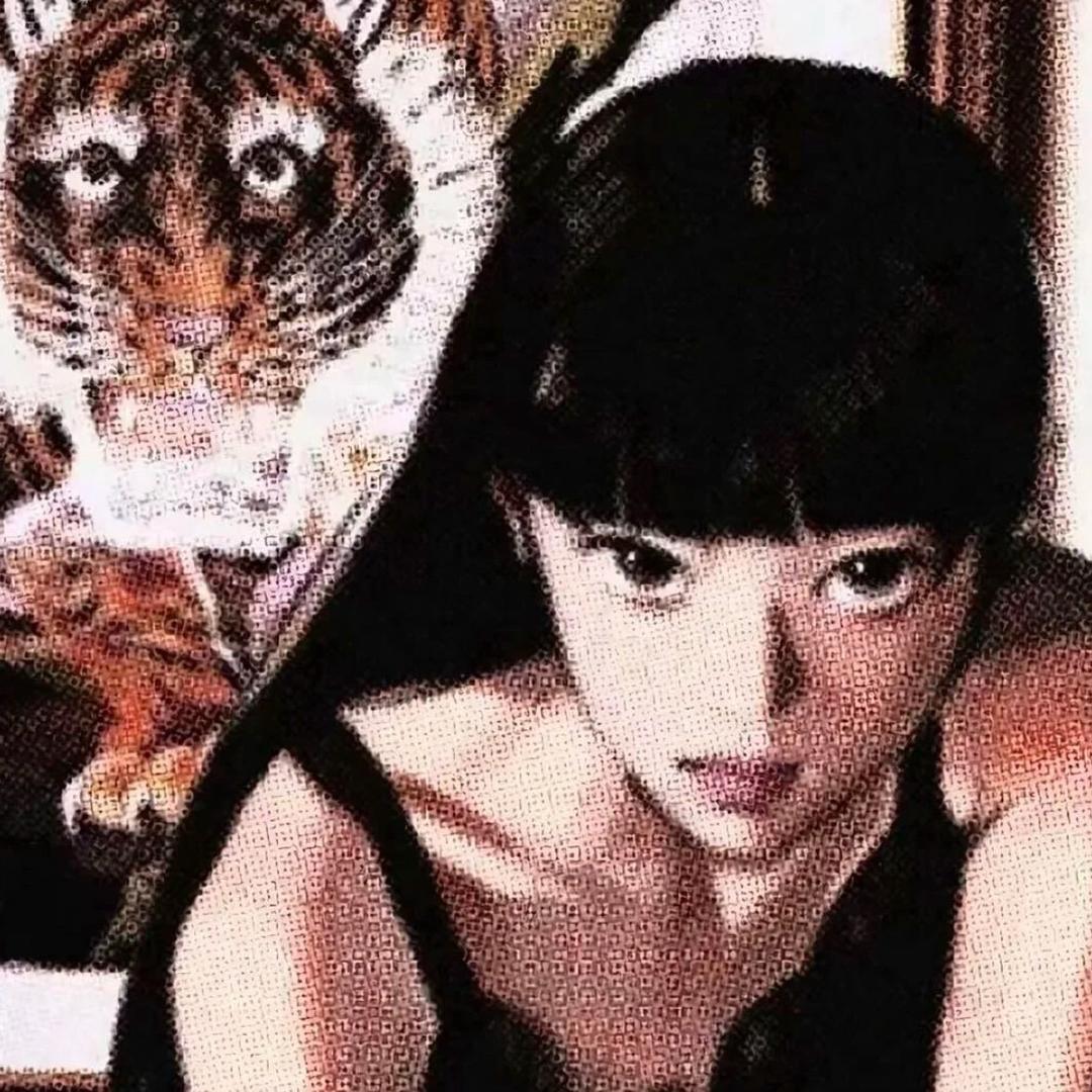 肥肥