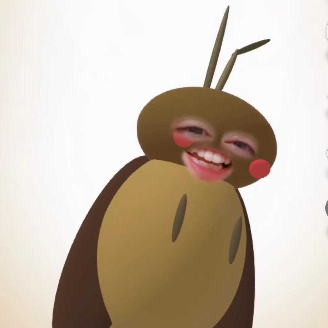 🌈蝶蝶🦋（乌萨奇家长