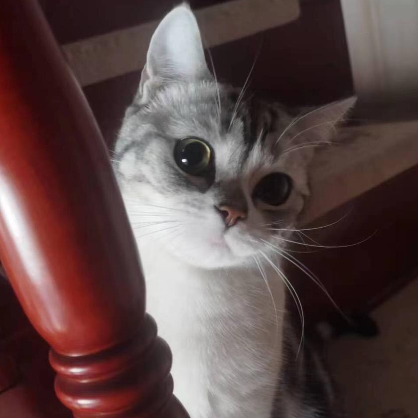 魏那个真♓️（🌹）152号