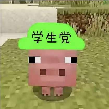 我是学生，买到学生票了