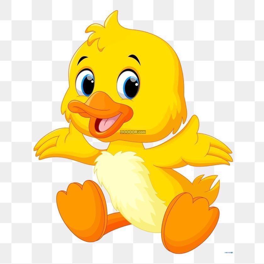 小黄鸭甄选童鞋