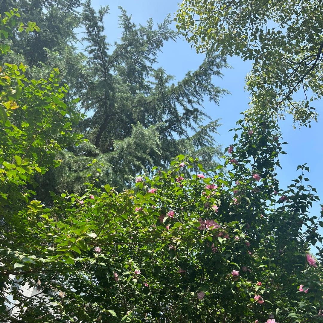 不惧阳光的王妃沈诗妍头像