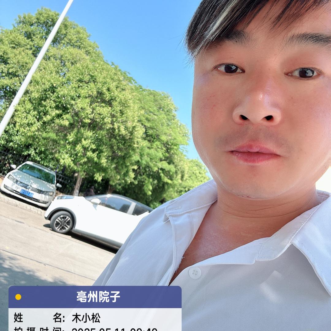 中联亳州院子木小松