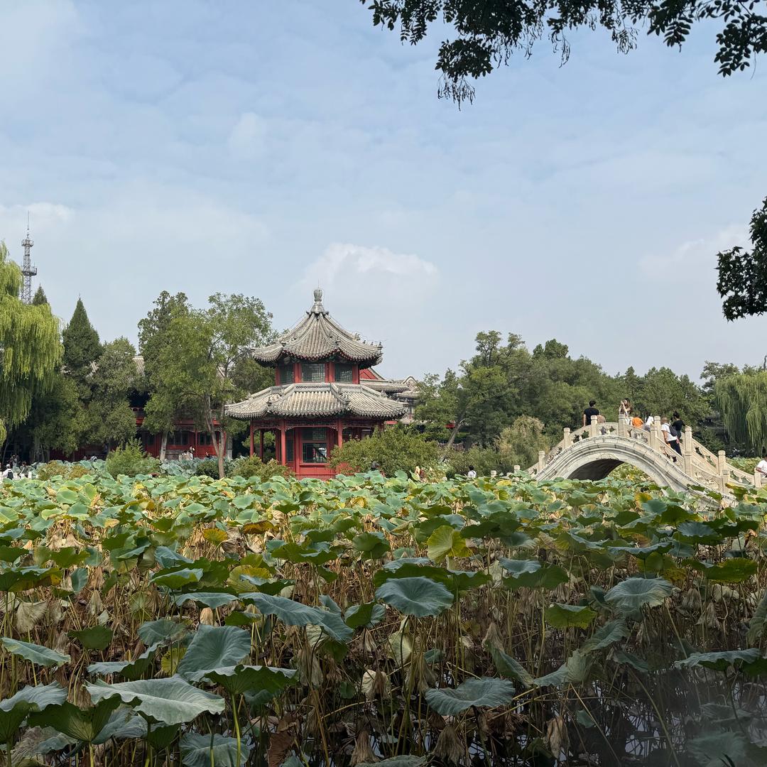 水波纹