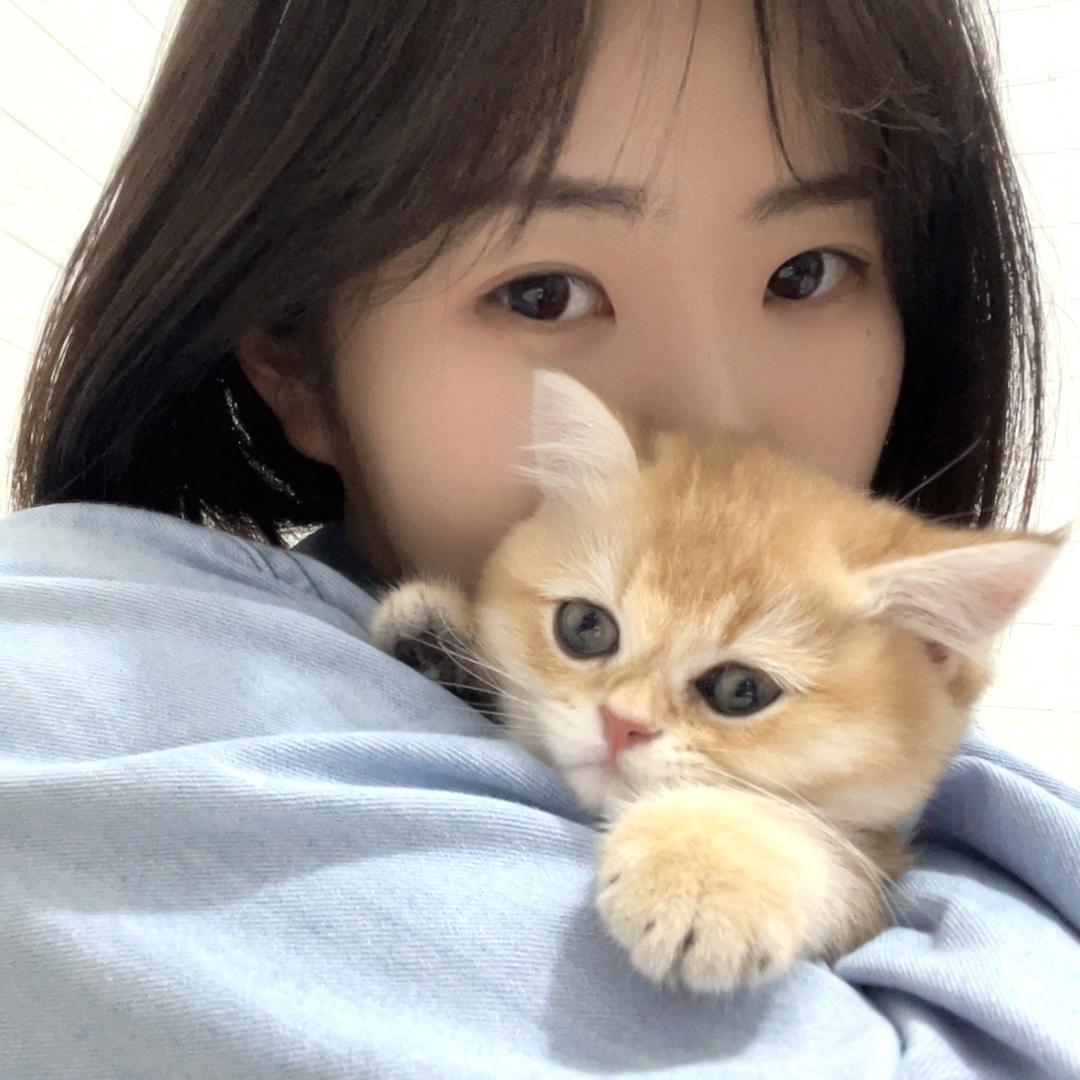 我的下巴好多层