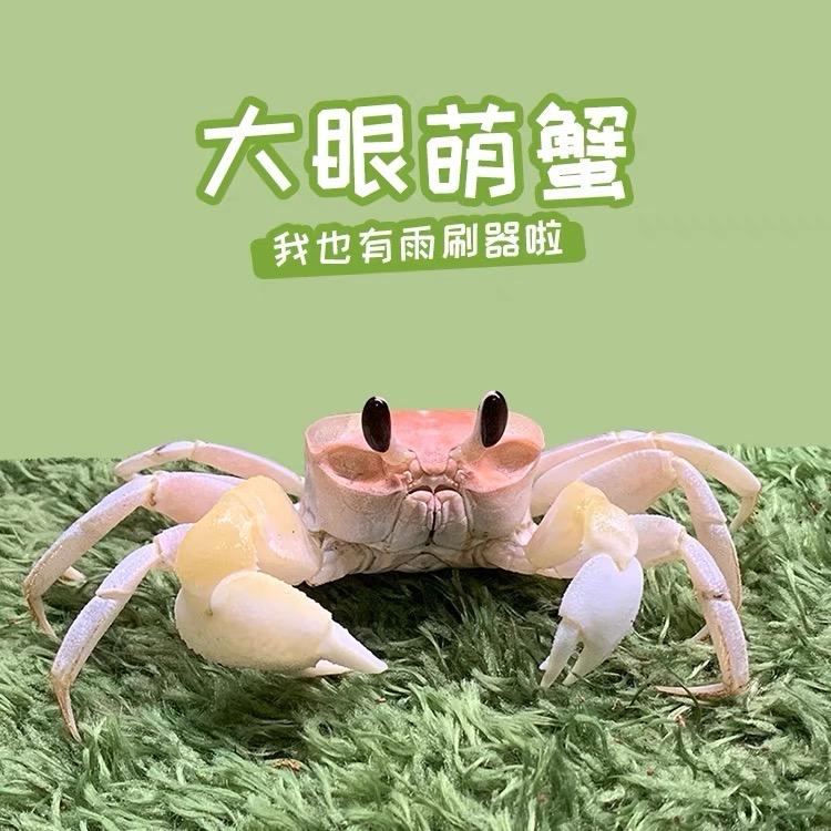 航航萌宠水族馆