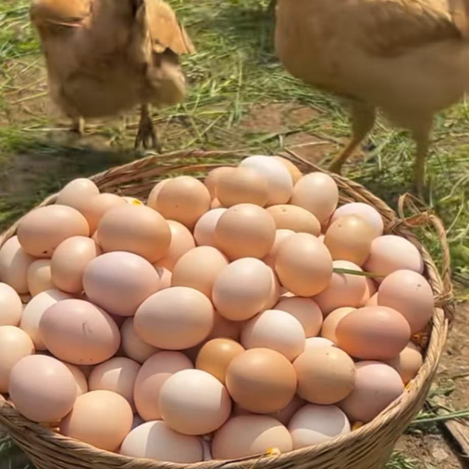 农家田园农产品