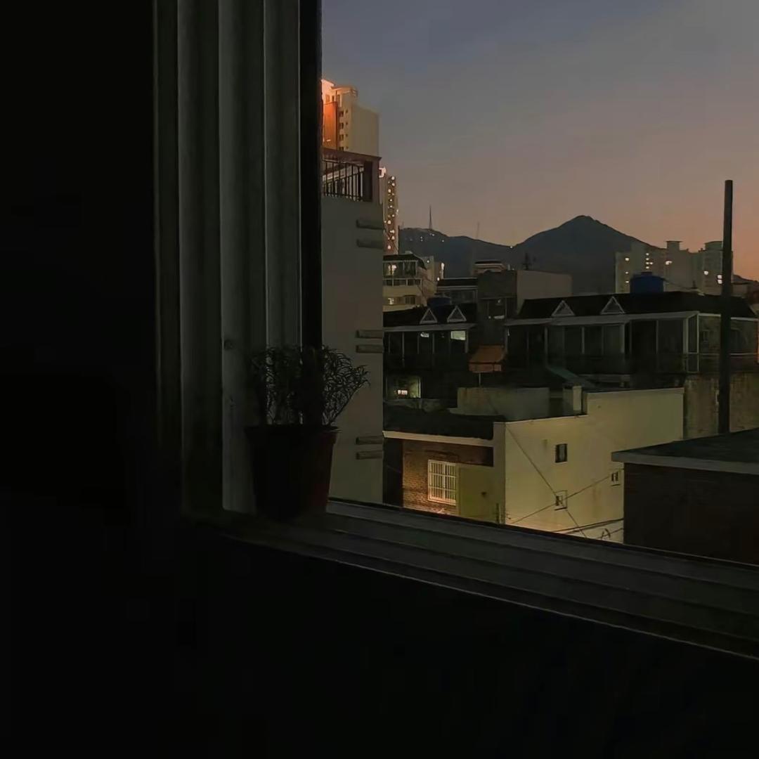 布谷布谷？
